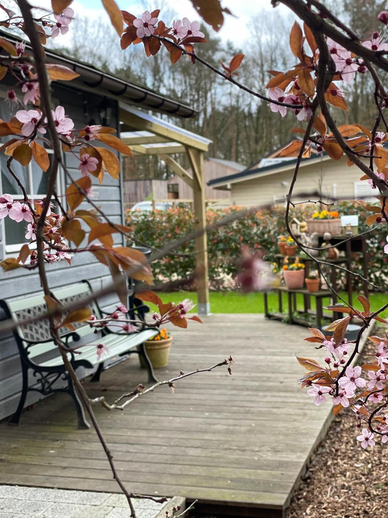 Chalet Sint-Hubertus Du Bois Zutendaal Bagian luar foto