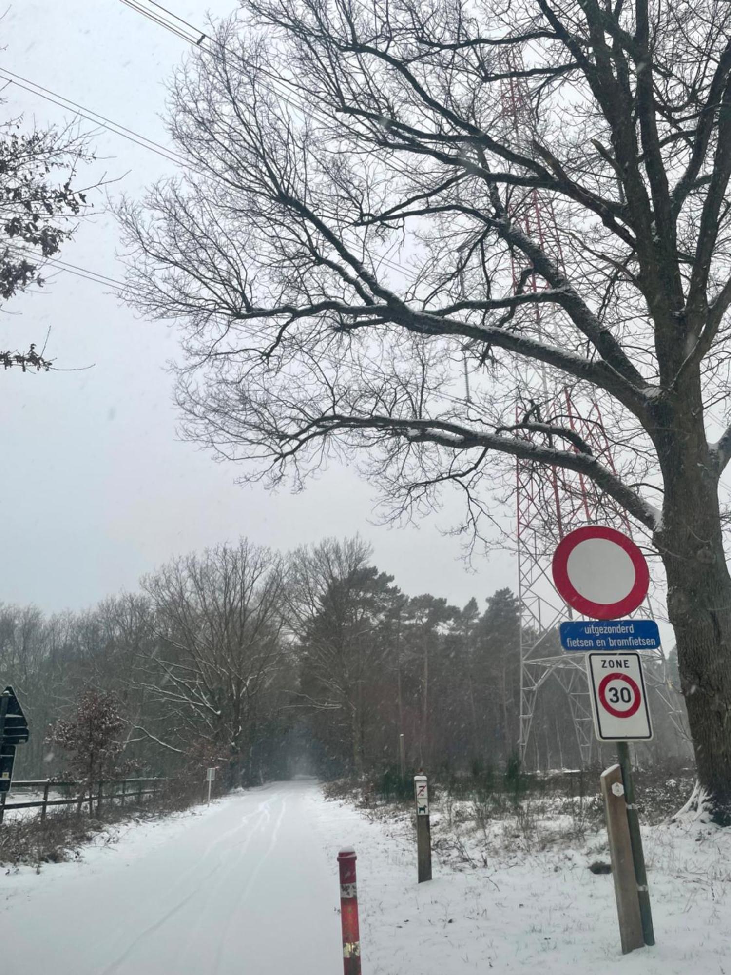 Chalet Sint-Hubertus Du Bois Zutendaal Bagian luar foto