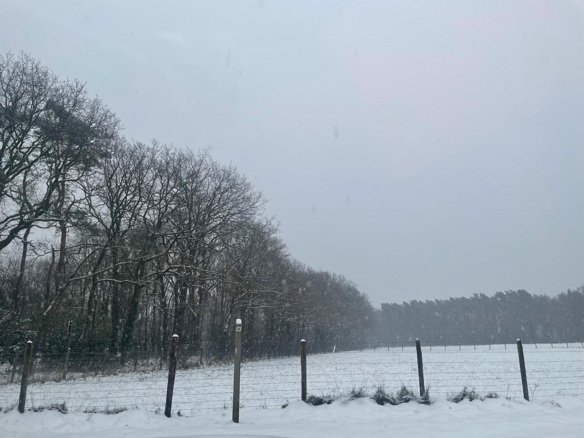 Chalet Sint-Hubertus Du Bois Zutendaal Bagian luar foto