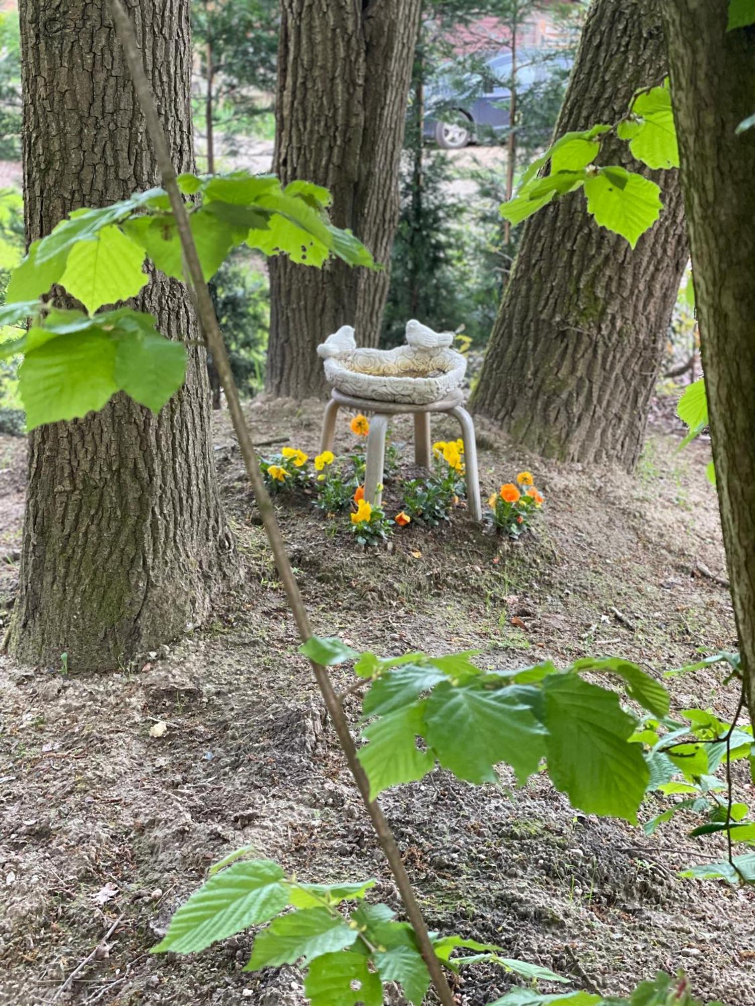 Chalet Sint-Hubertus Du Bois Zutendaal Bagian luar foto
